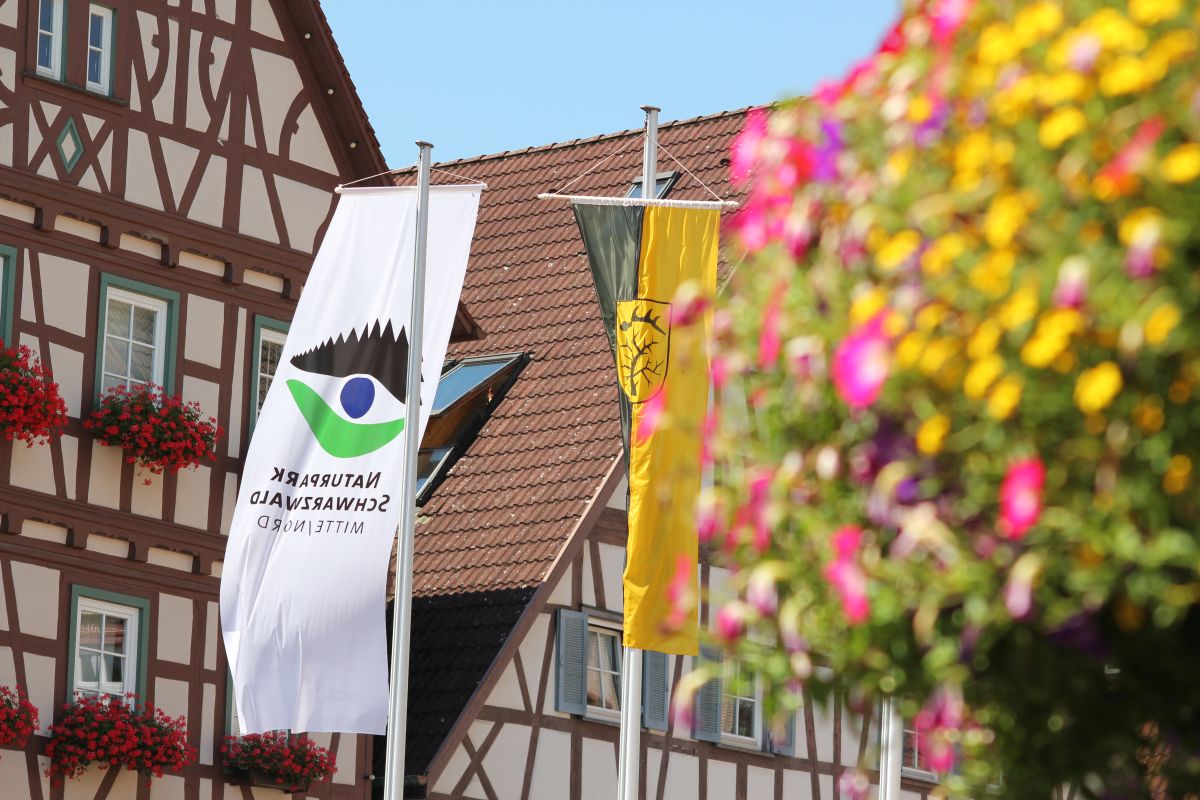 Naturpark Schwarzwald Mitte/Nord