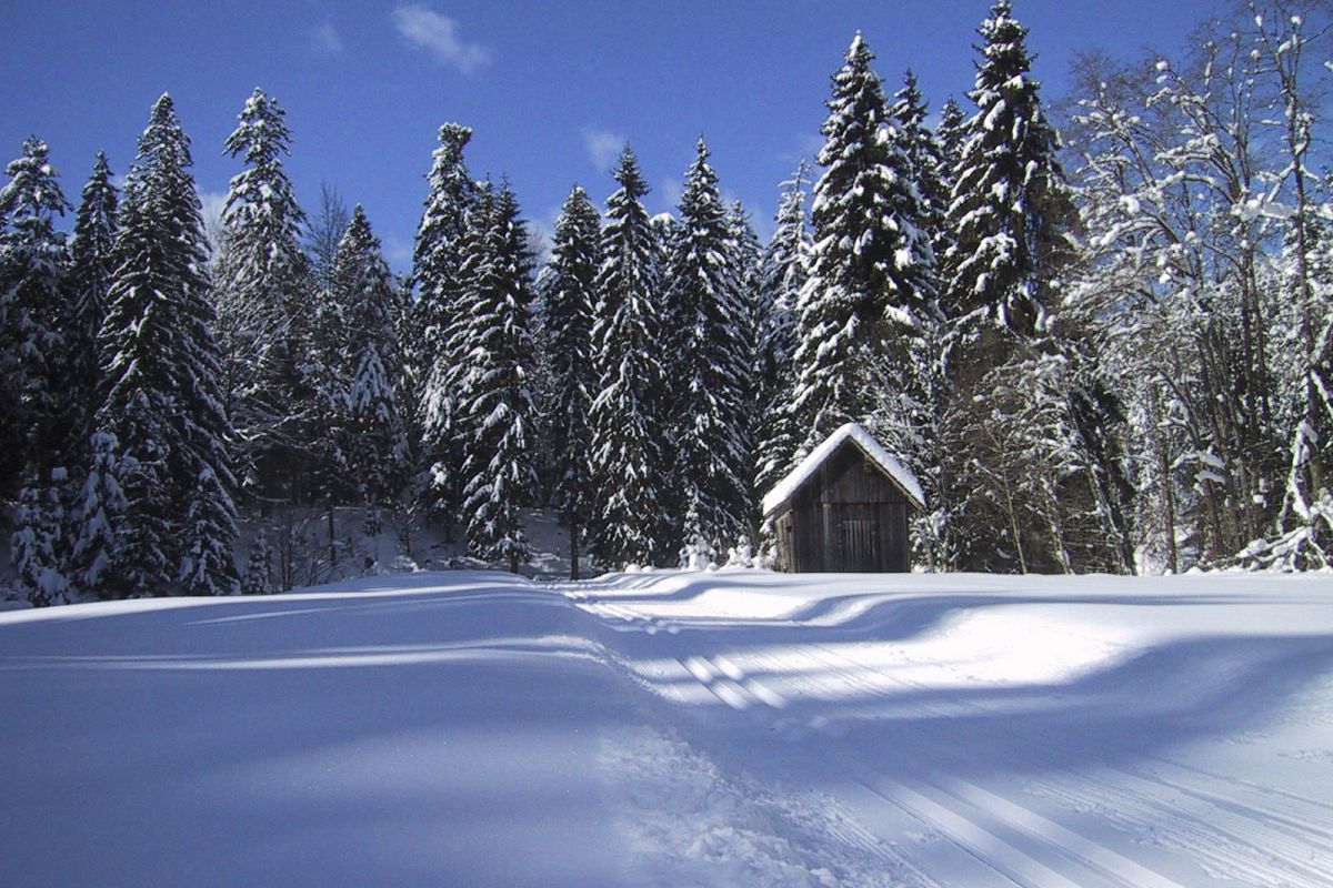Michael Keppler/Naturpark Schwarzwald Mitte/Nord