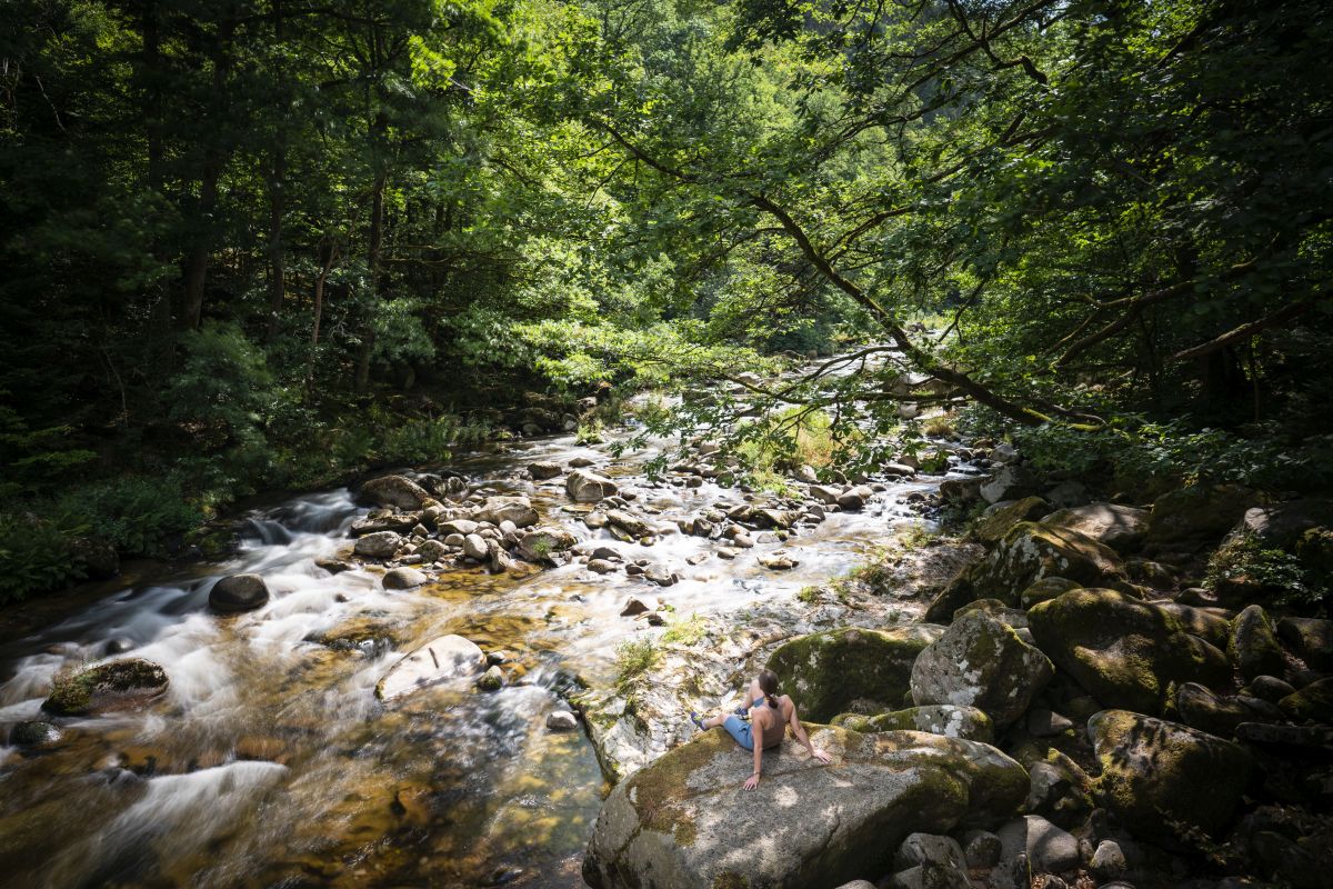 Dietmar Denger/Naturpark Schwarzwald Mitte/Nord