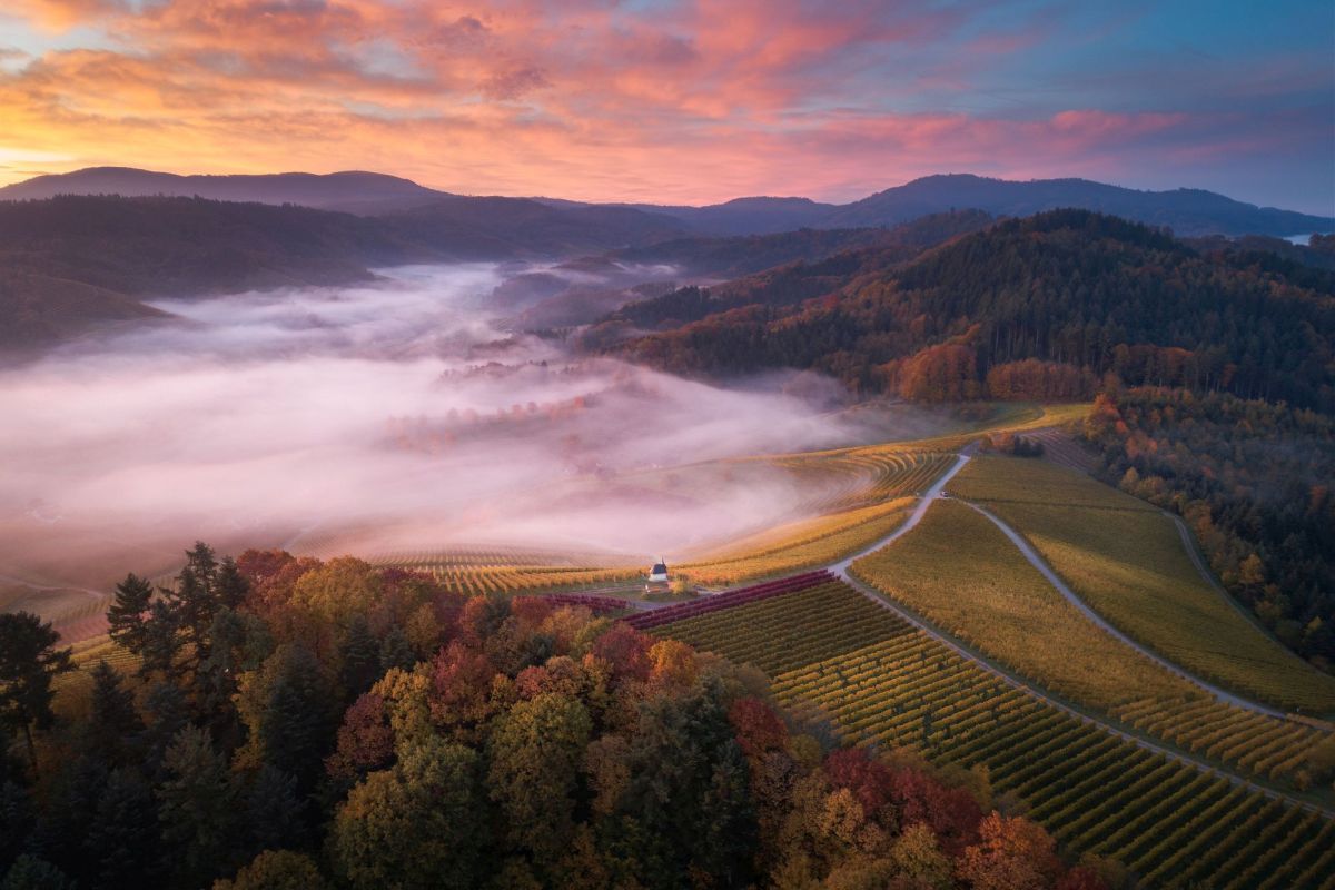 Dietmar Denger/Naturpark Schwarzwald Mitte/Nord