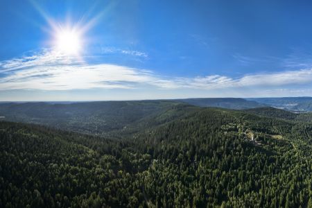 Dietmar Denger/Naturpark Schwarzwald Mitte/Nord