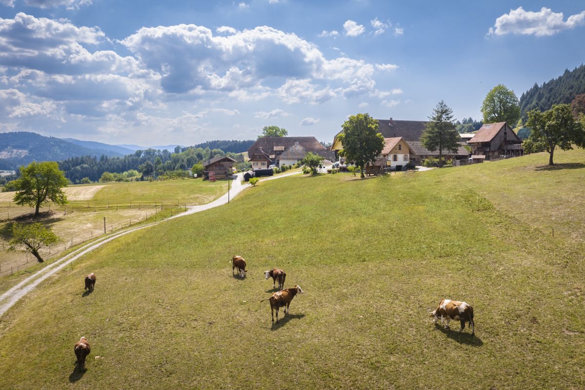 Dietmar Denger/Naturpark Schwarzwald Mitte/Nord