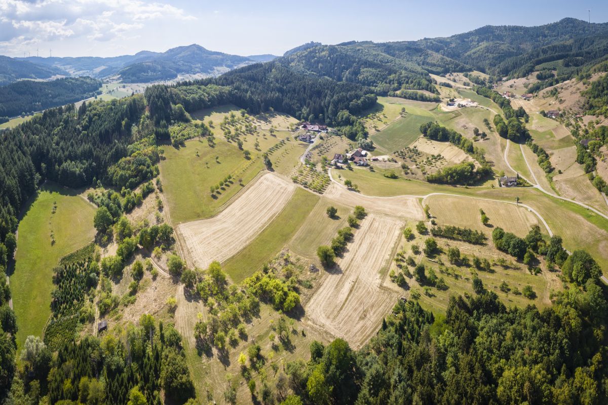 Dietmar Denger/Naturpark Schwarzwald Mitte/Nord