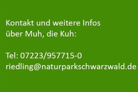 Infos und Kontakt unter Tel. 072239577150