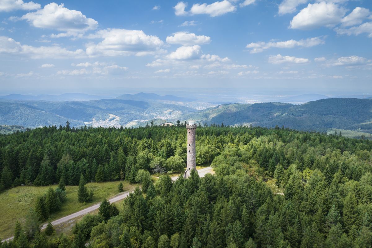 Dietmar Denger/Naturpark Schwarzwald Mitte/Nord