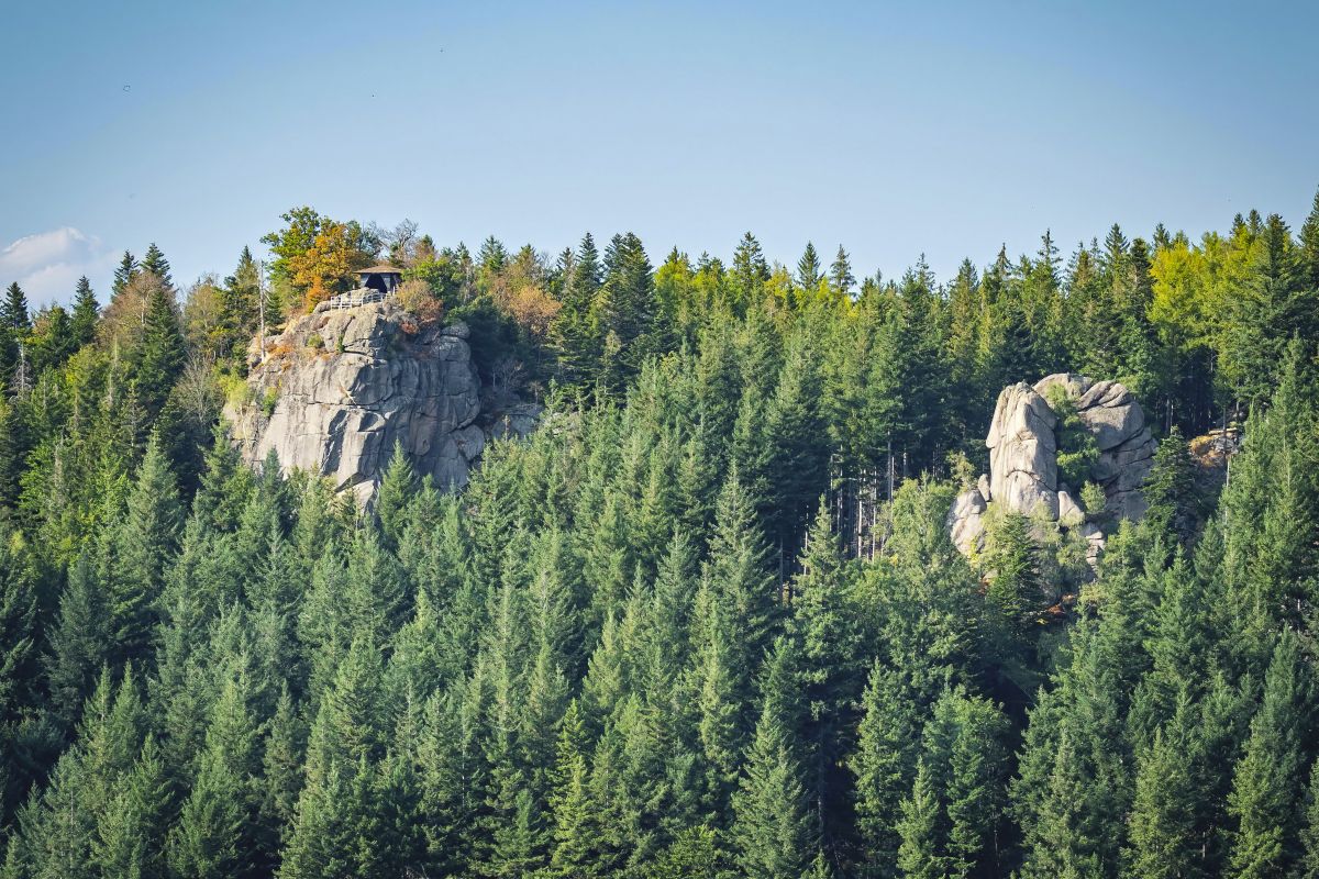 Dietmar Denger/Naturpark Schwarzwald Mitte/Nord