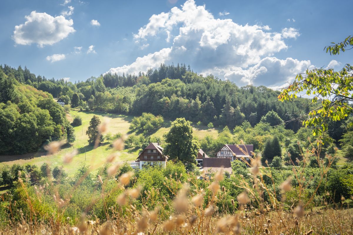 Dietmar Denger/Naturpark Schwarzwald Mitte/Nord
