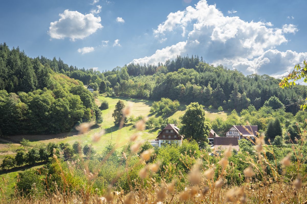Dietmar Denger/Naturpark Schwarzwald Mitte/Nord