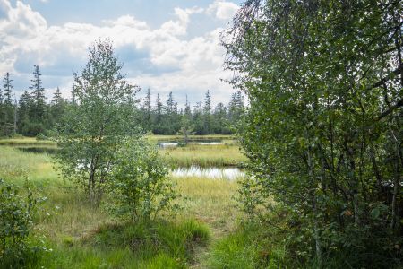 Dietmar Denger/Naturpark Schwarzwald Mitte/Nord
