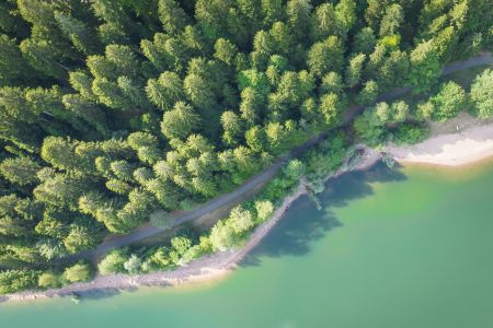 Dietmar Denger/Naturpark Schwarzwald Mitte/Nord