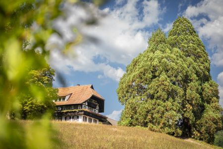 Dietmar Denger/Naturpark Schwarzwald Mitte/Nord