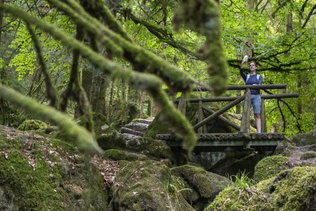 Dietmar Denger/Naturpark Schwarzwald Mitte/Nord