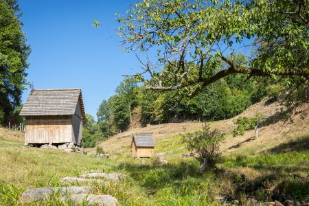 Dietmar Denger/Naturpark Schwarzwald Mitte/Nord