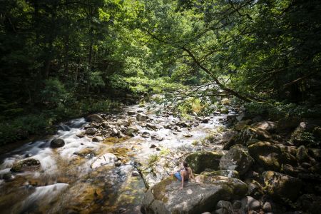 Dietmar Denger/Naturpark Schwarzwald Mitte/Nord