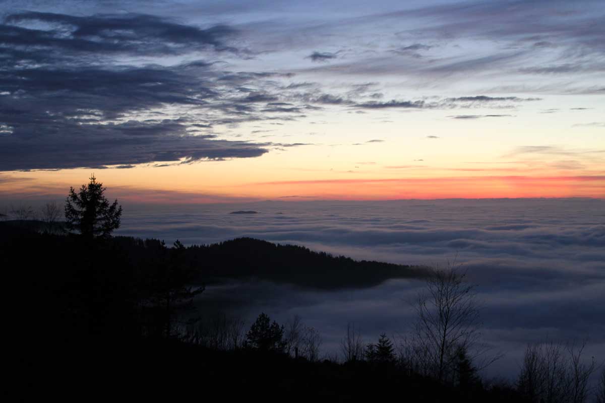 Naturpark Schwarzwald Mitte/Nord