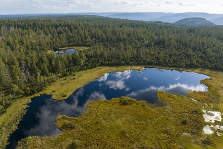 Michael Keppler/Naturpark Schwarzwald Mitte/Nord