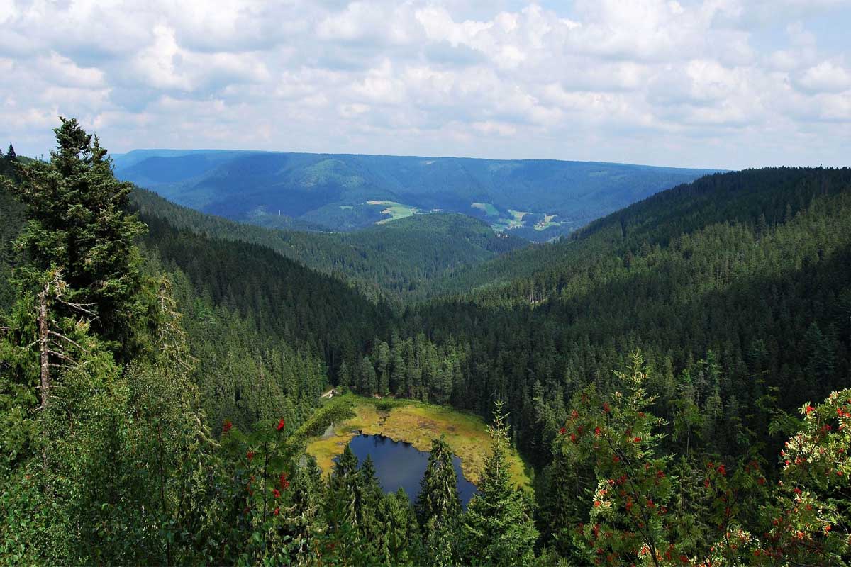 Schwarzwald-Guide Rainer Schulz