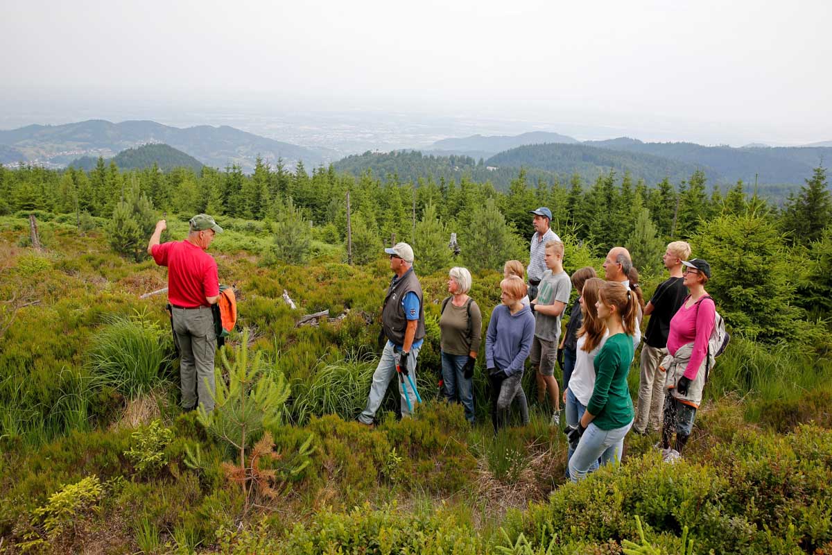 Naturpark Schwarzwald Mitte/Nord