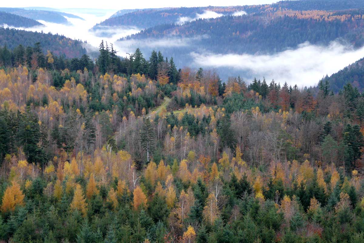 NABU Kreisverband Rastatt