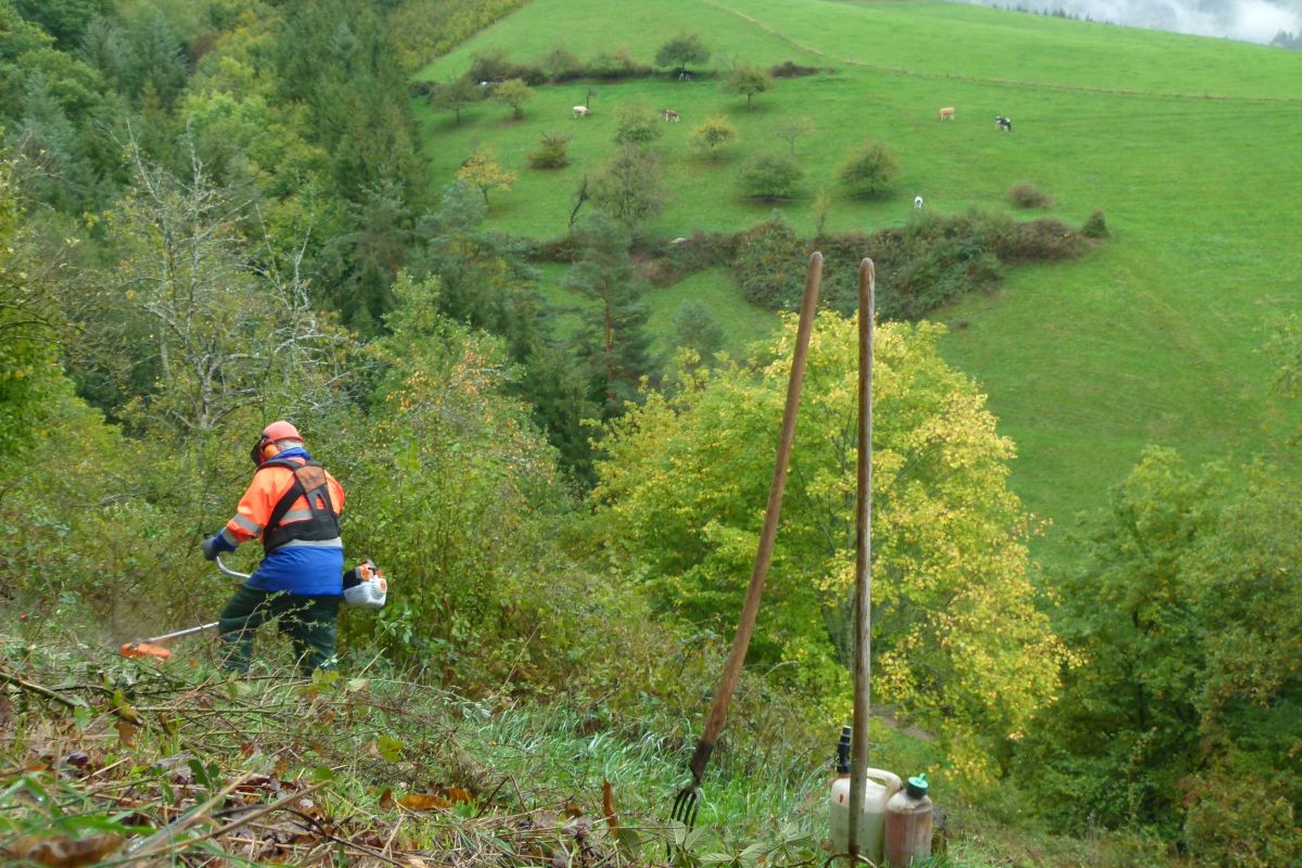 Christian Schütt/Naturpark Schwarzwald Mitte/Nord