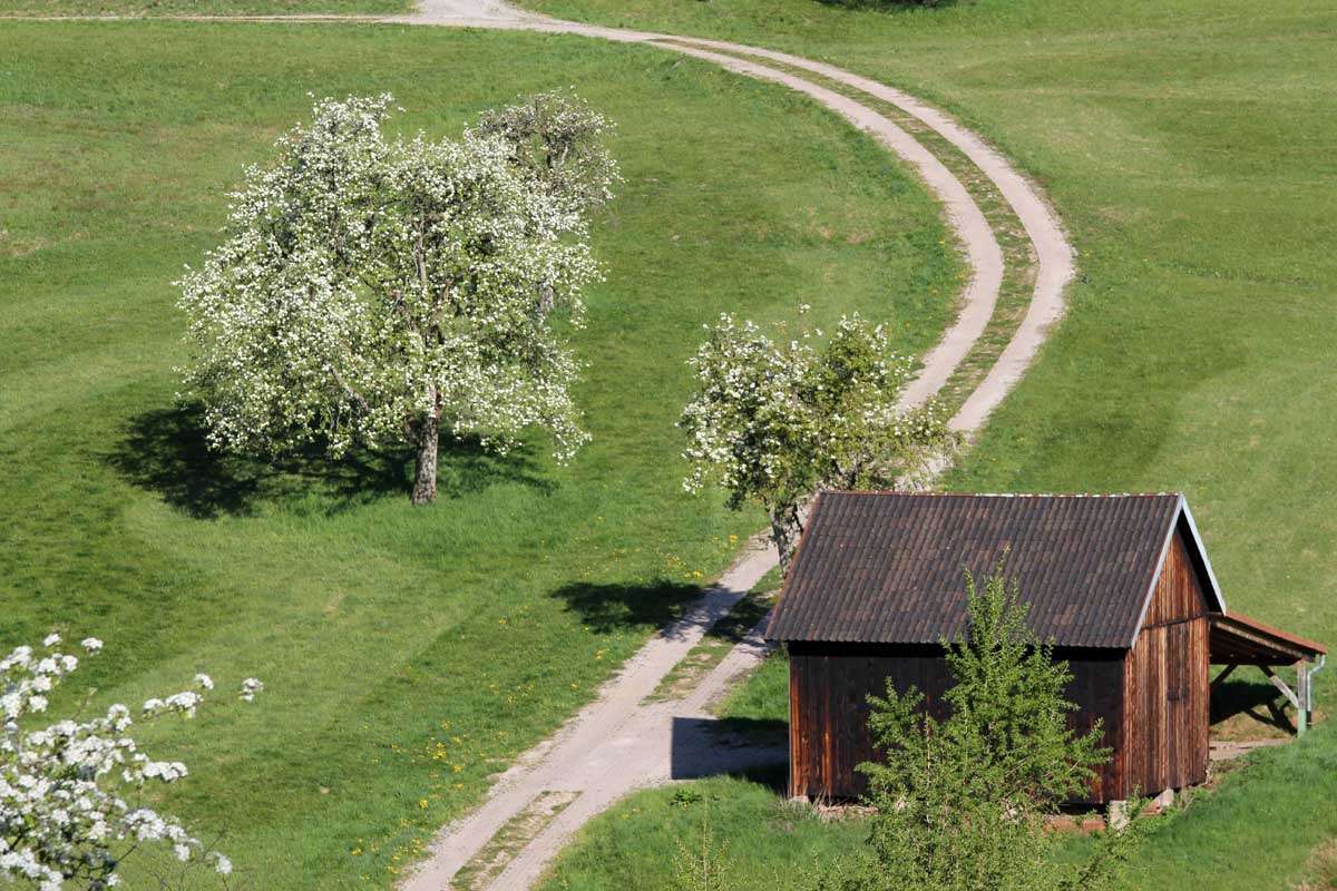 Naturpark Schwarzwald Mitte/Nord