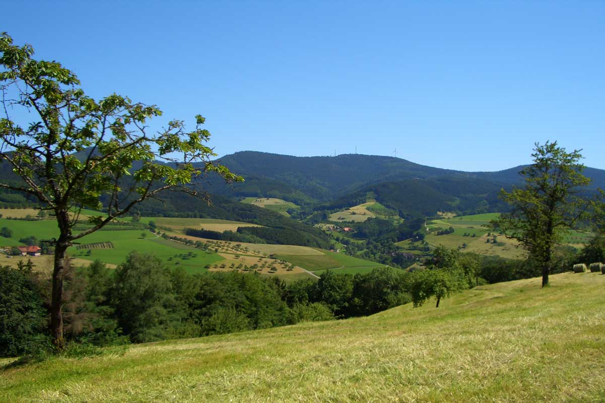 Touristinfo Oberharmersbach