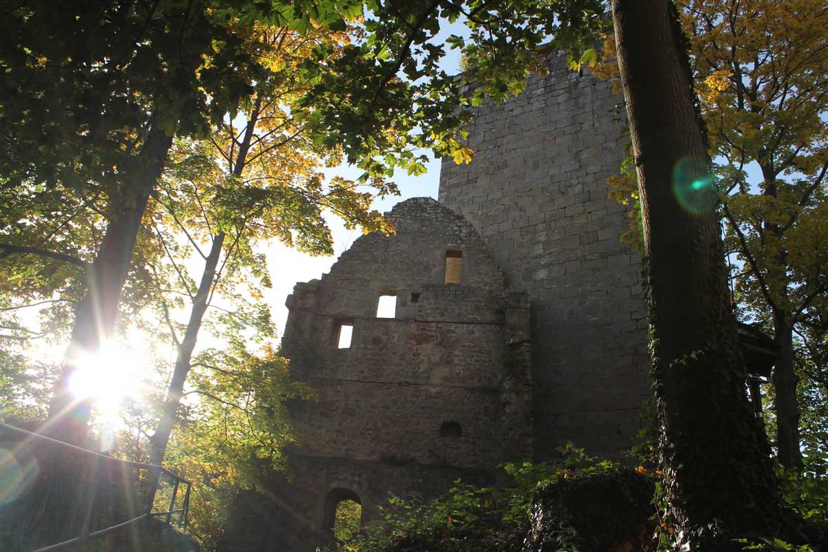 Naturpark Schwarzwald Mitte/Nord