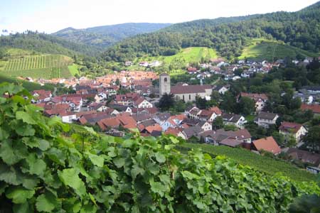 Baden-Badener WG