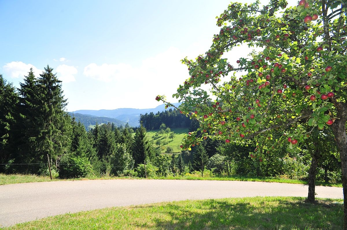 Naturpark Schwarzwald Mitte/Nord
