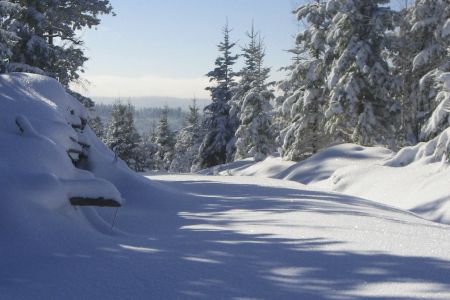 Michael Keppler/Naturpark Schwarzwald Mitte/Nord