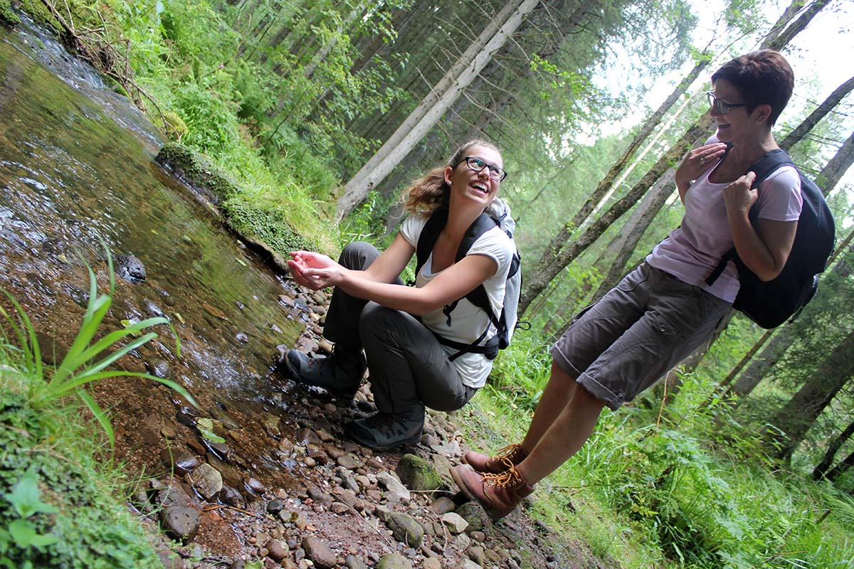 Naturpark Schwarzwald Mitte/Nord