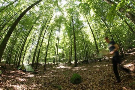 Naturpark Schwarzwald Mitte/Nord