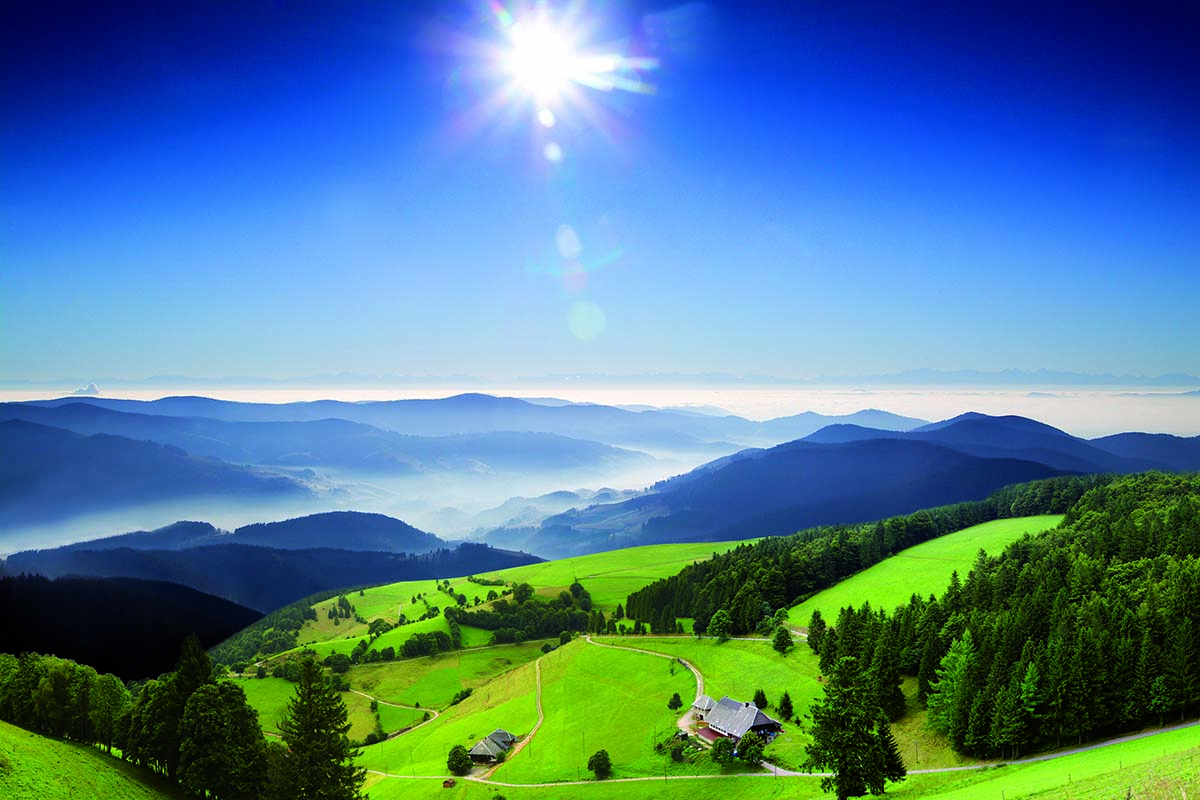 Schwarzwaldmilch