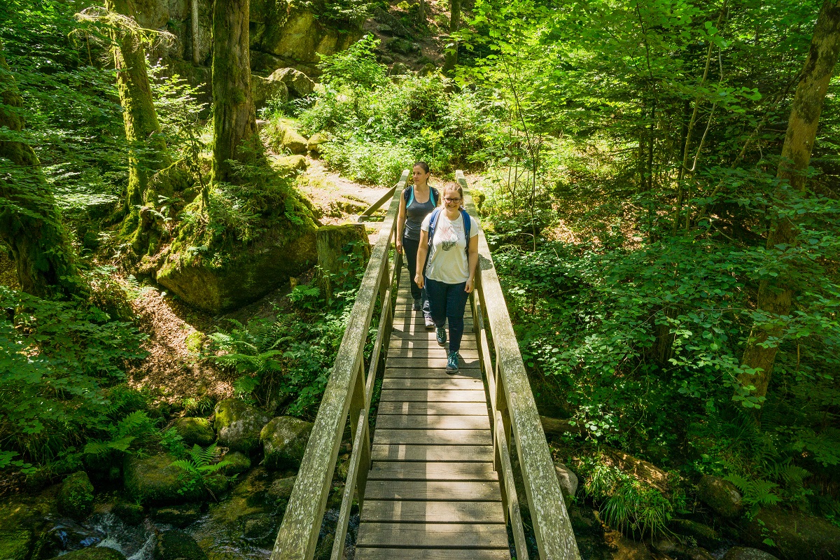 Tourismus und Stadtmarketing Bad Herrenalb_Alex Kijak (12)