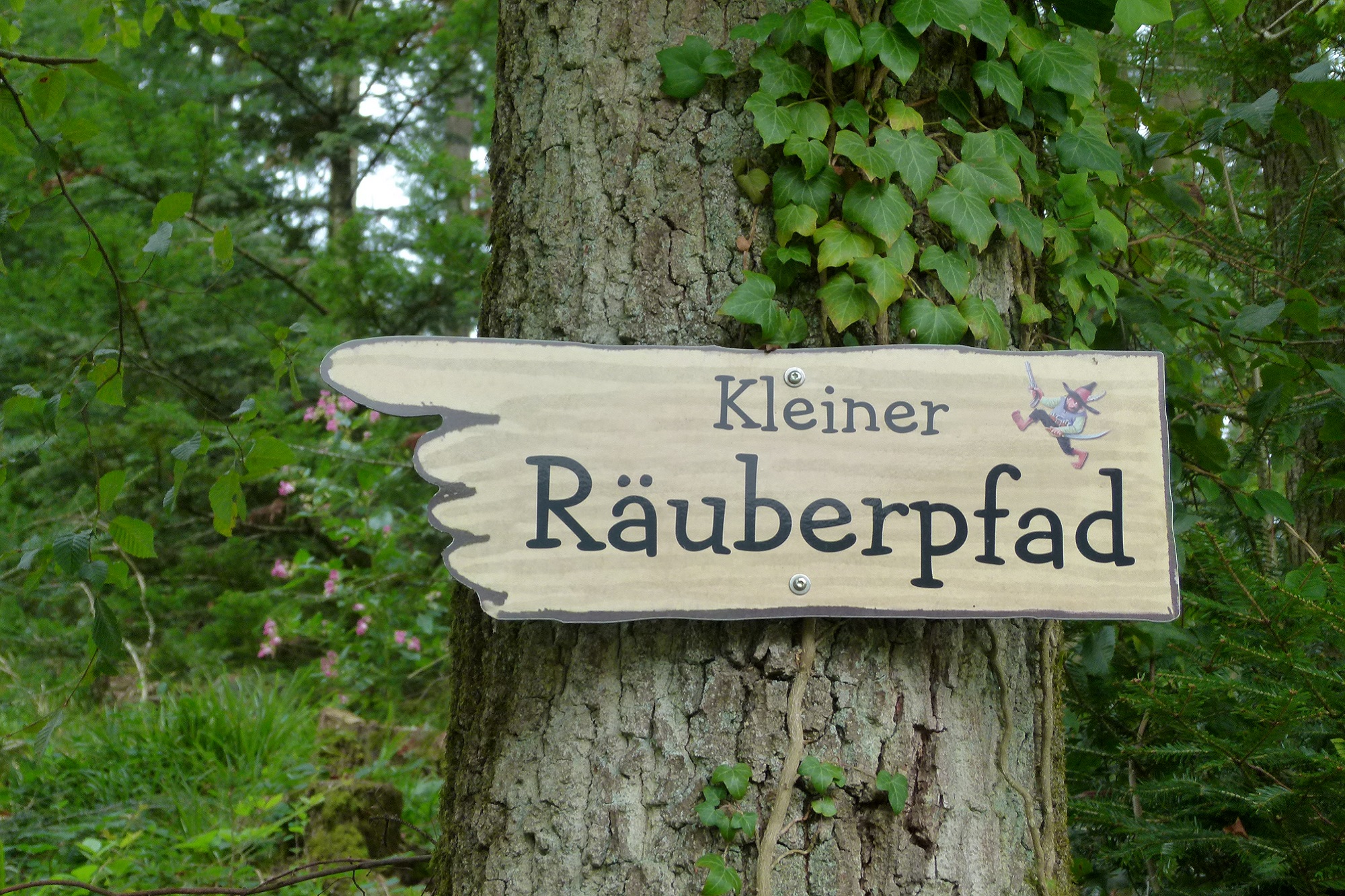 Naturpark Schwarzwald Mitte/Nord