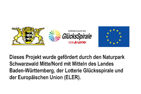 EU-Förderhinweis