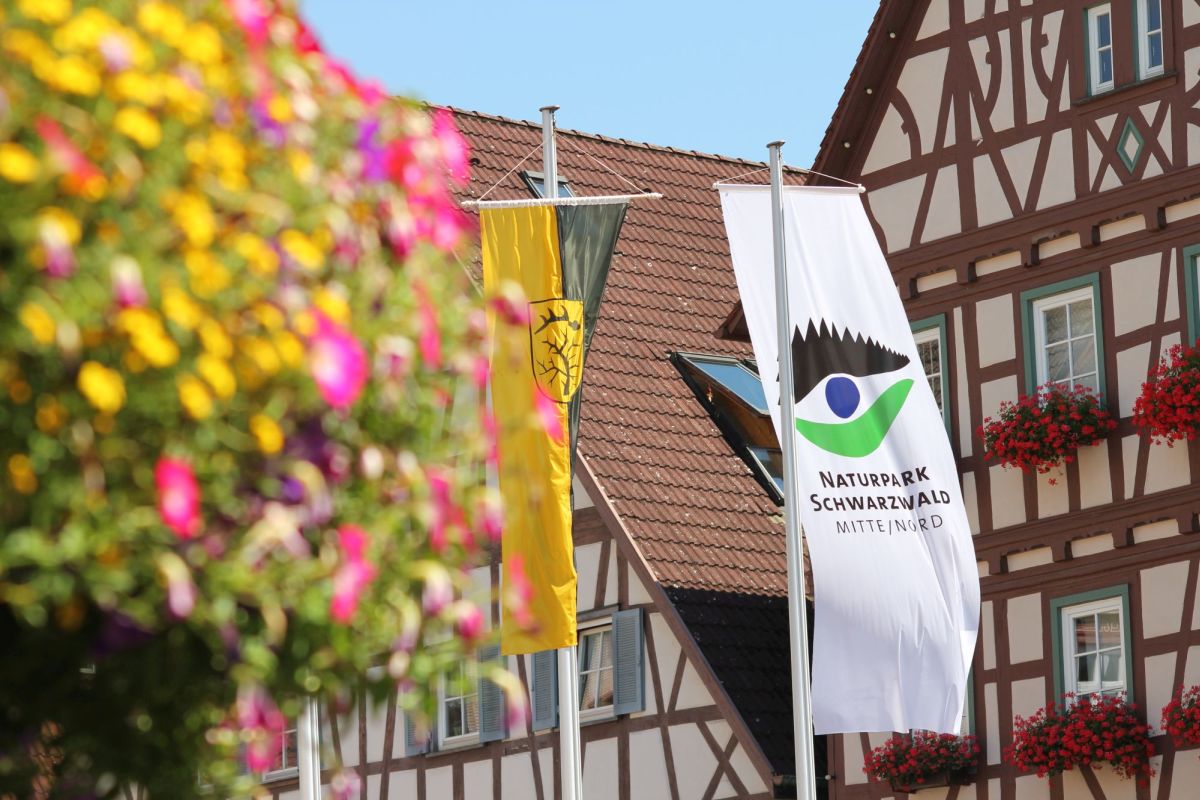 Naturpark Schwarzwald Mitte/Nord